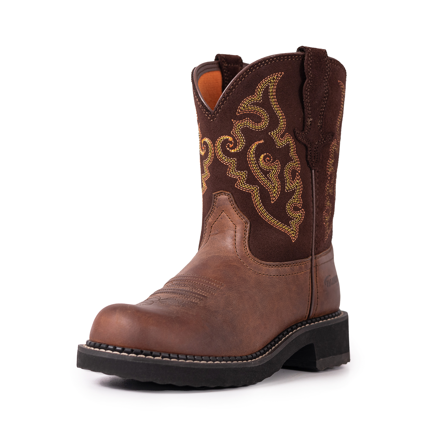 Western Boots for Women